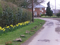 10.04.2009 - Marion Jackman - Spring arrives after a cold winter and dismal financial climate